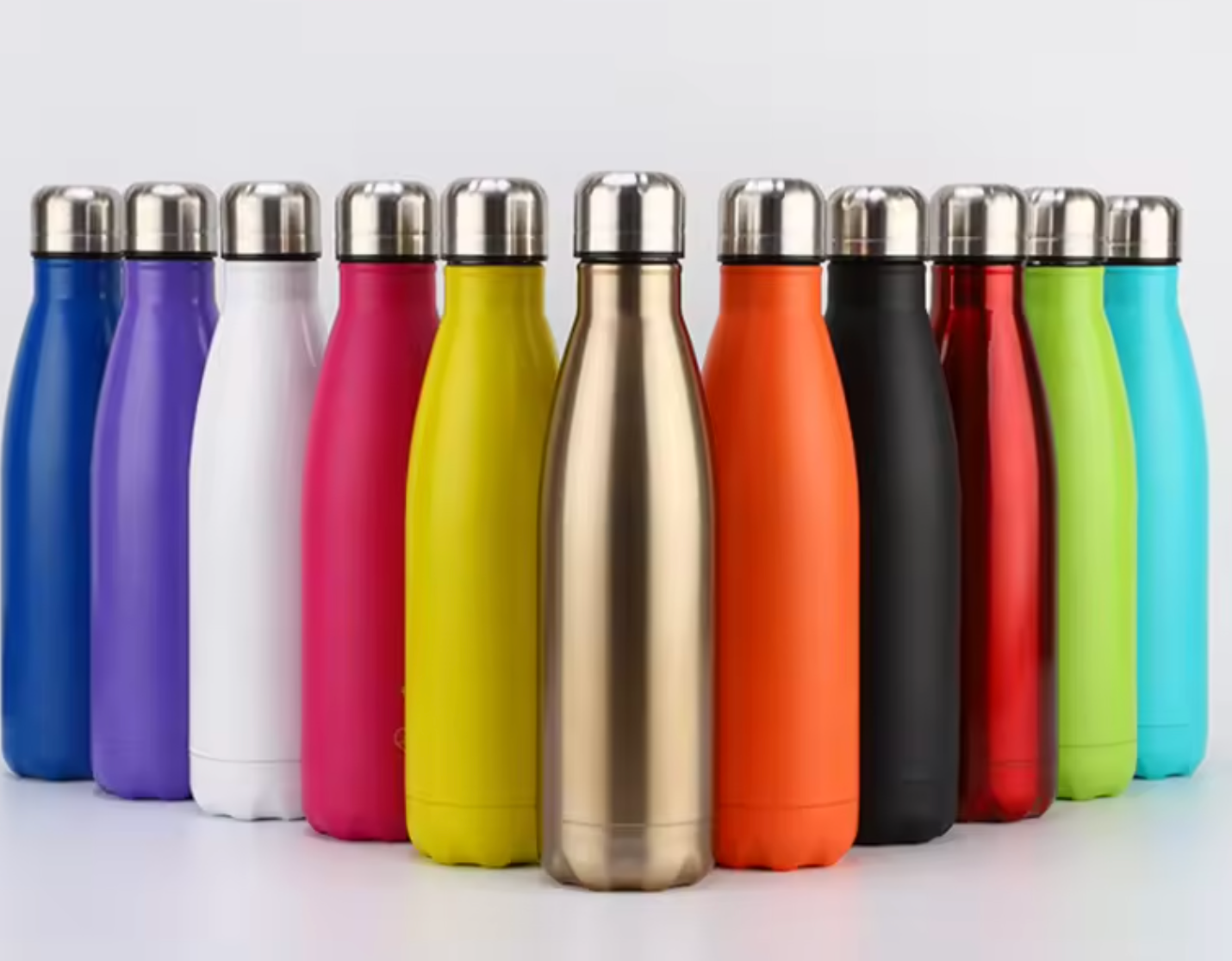 Stainless Steel Water Bottle