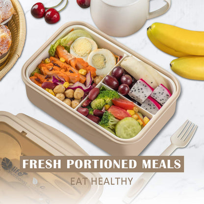 Bento Lunch Box For Adults and Kids